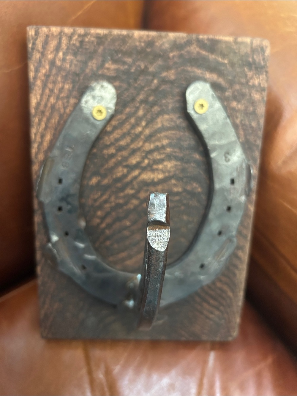 Metal Horseshoe Wall Hook - TS8